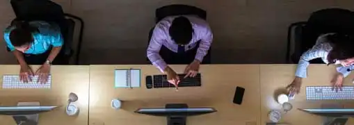 Office Productivity Software