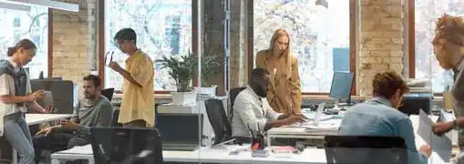 Startup Legal Issues