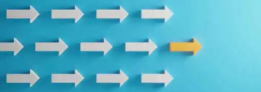 The Franchising Decision