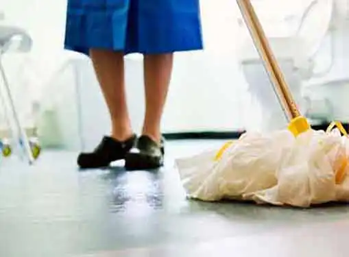 Cleaning and Maintenance Franchises