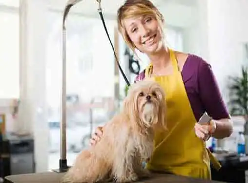 Pet Franchises - Opening a Pet Store - Pet Supply Franchises - Pet Store  Franchises - Franchise Opportunities - Resources for Entrepreneurs -  Gaebler Ventures - Chicago, Illinois