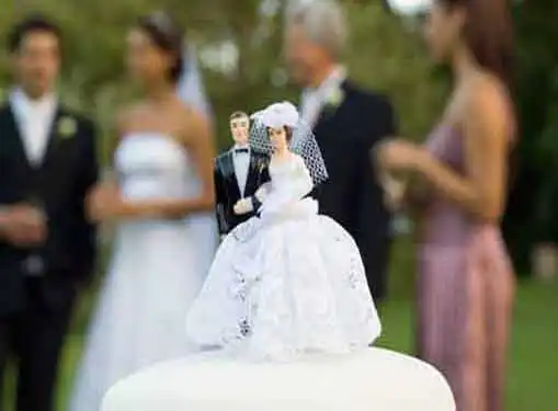 Wedding Franchises