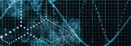 2012 Entrepreneur of the Year