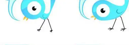 Accounting Software Social Media