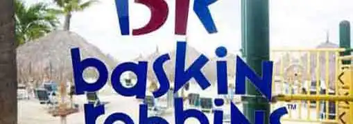Baskin Robbins Franchise
