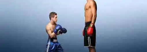 Big Business Versus Small Business