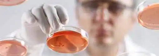 Biotech Industry Funding Sources