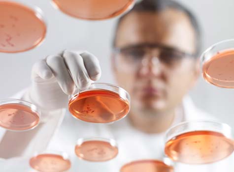 Biotech Industry Funding Sources