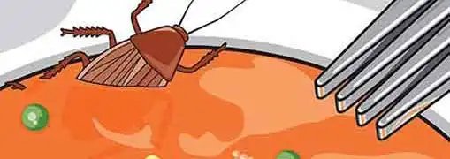Bug in Soup