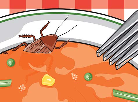 Bug in Soup