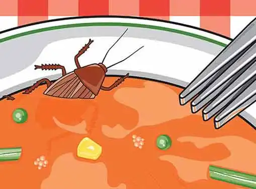 Bug in Soup