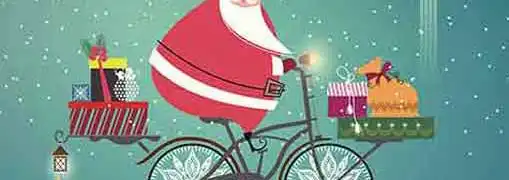 Christmas Delivery Problems for FedEx and UPS