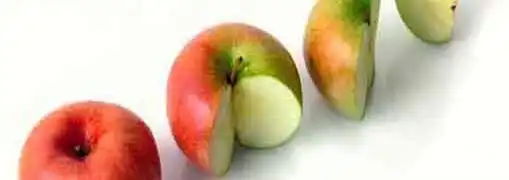 Corporate Tax Reform