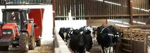 Food Safety New Laws Impact on Business