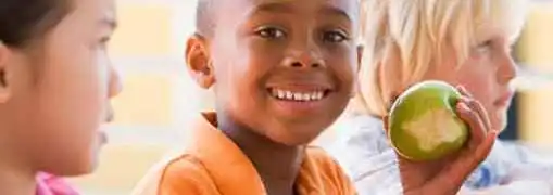 Franchise Kids Meal Obesity