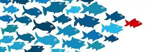 Franchising Job Growth Leader