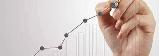 Franchising ROI Burger King