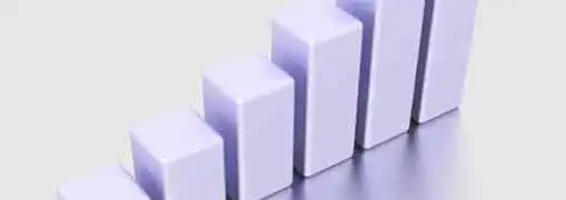 Franchising Royalties