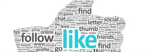 Fraud Detection for Fake Facebook Likes