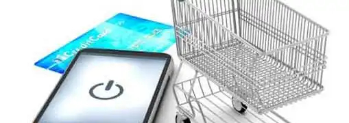 Mobile Payment Risks for Small Businesses