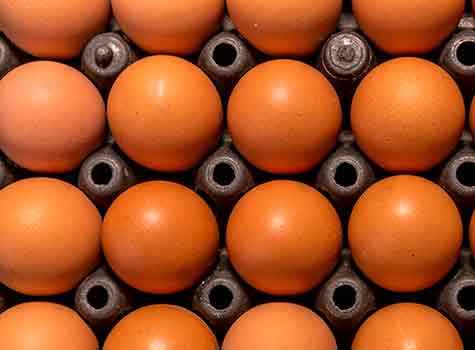 Multi-Unit Franchising Pros and Cons