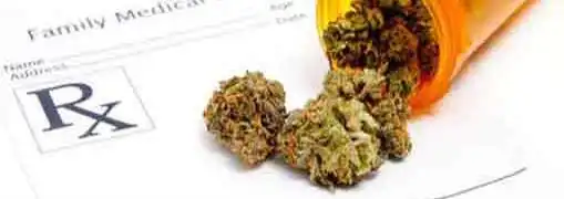 New Bills Offer Support