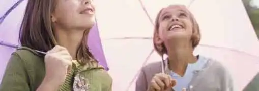 Optimistic Outlook for Small Businesses