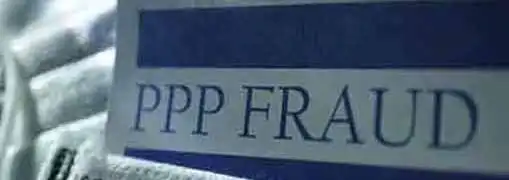 PPP Fraud Cases
