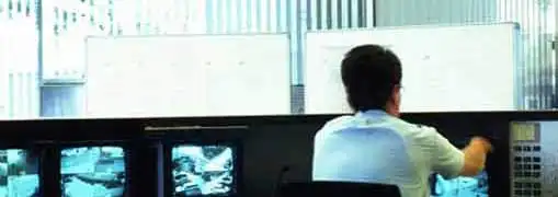 Private Security Industry