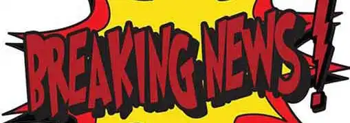 Recent Entreprenur and Small Business Owner Studies