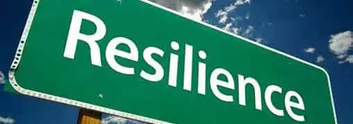 Entrepreneur Resilience