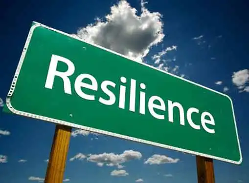 Entrepreneur Resilience