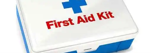 SBA Disaster Recovery Assistance