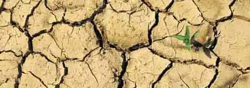 SBA Drought Assistance for Small Business