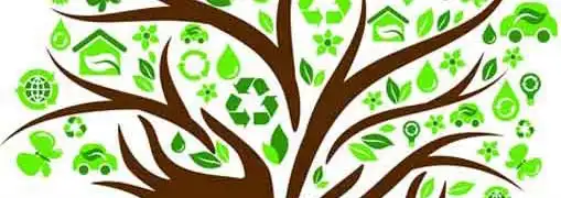 SMBs Payoff In Going Green