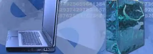 SMBs Using Web and Social Media for Growth