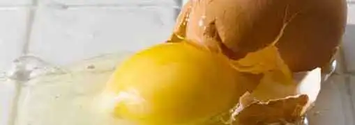 Small Business Data Is a Bust