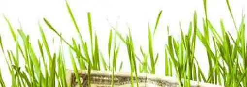 Small Business EPA Funding