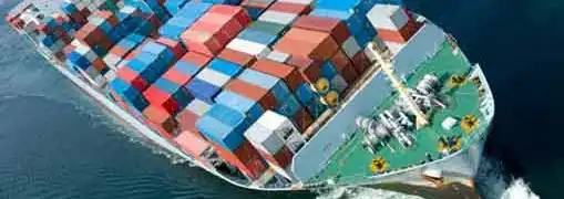 Small Business Export Statistics