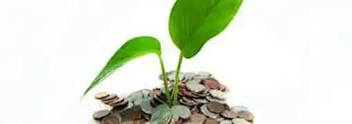 Small Business Grants Stimulate Economy