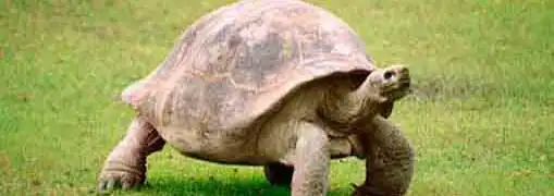 Small Business Hiring Slows Down