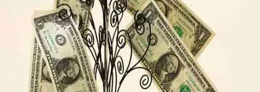 Small Business Loan Trends