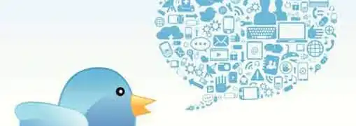 Small Business Owners on LinkedIn and Twitter