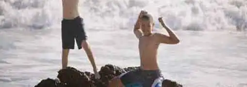 Small Business Partnership Benefit