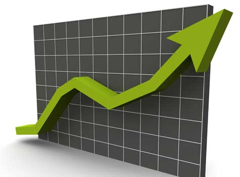 Small Business Sector Improvement