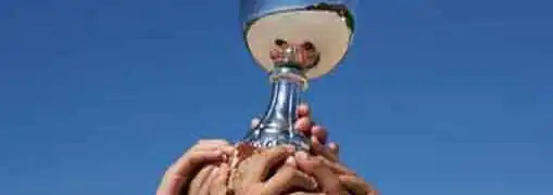 Small Business Wins Prize for Cold Plasma Shipping