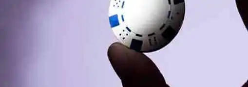 Small Businesses Place Bets on Human Capital