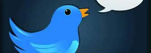 Social Media Traction in Small Business