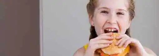 Sonic Fast Food Franchise