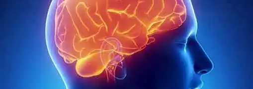 Use of Guilt in Marketing